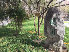 曦园