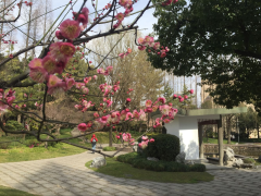春暖花开