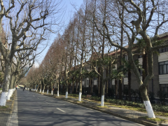 第三教学楼