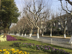 光华楼前